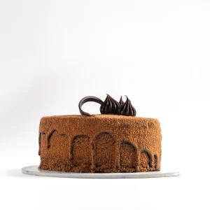 Choco Truffle Cake